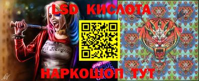 индика Рузаевка
