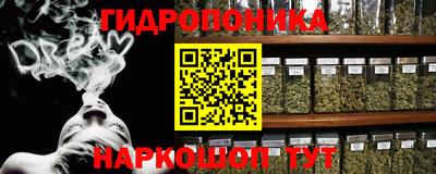 индика Рузаевка
