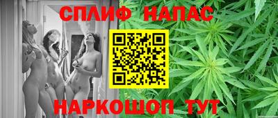 гидра Рыбинск