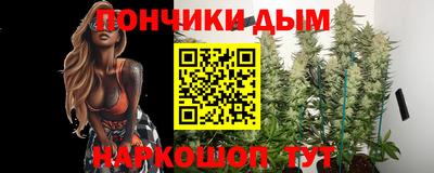индика Рузаевка