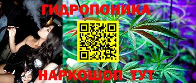 гидра Рыбинск