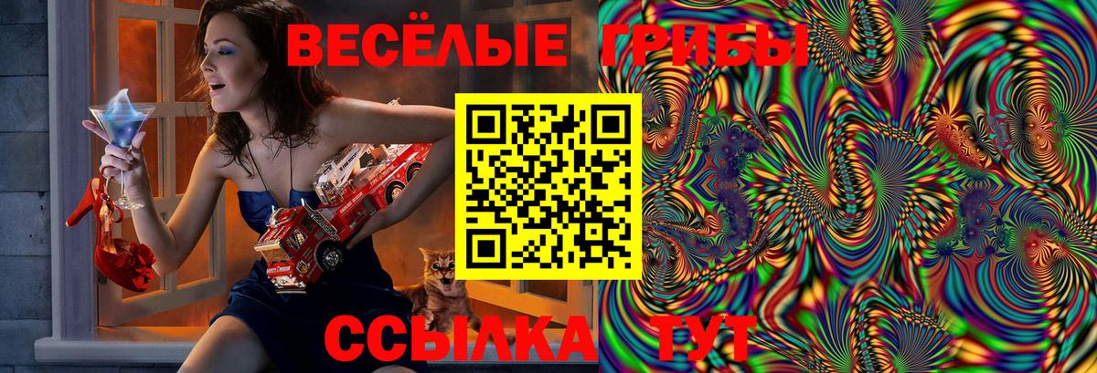 Галлюциногенные грибы GOLDEN TEACHER  Вход с VPN  Курган 